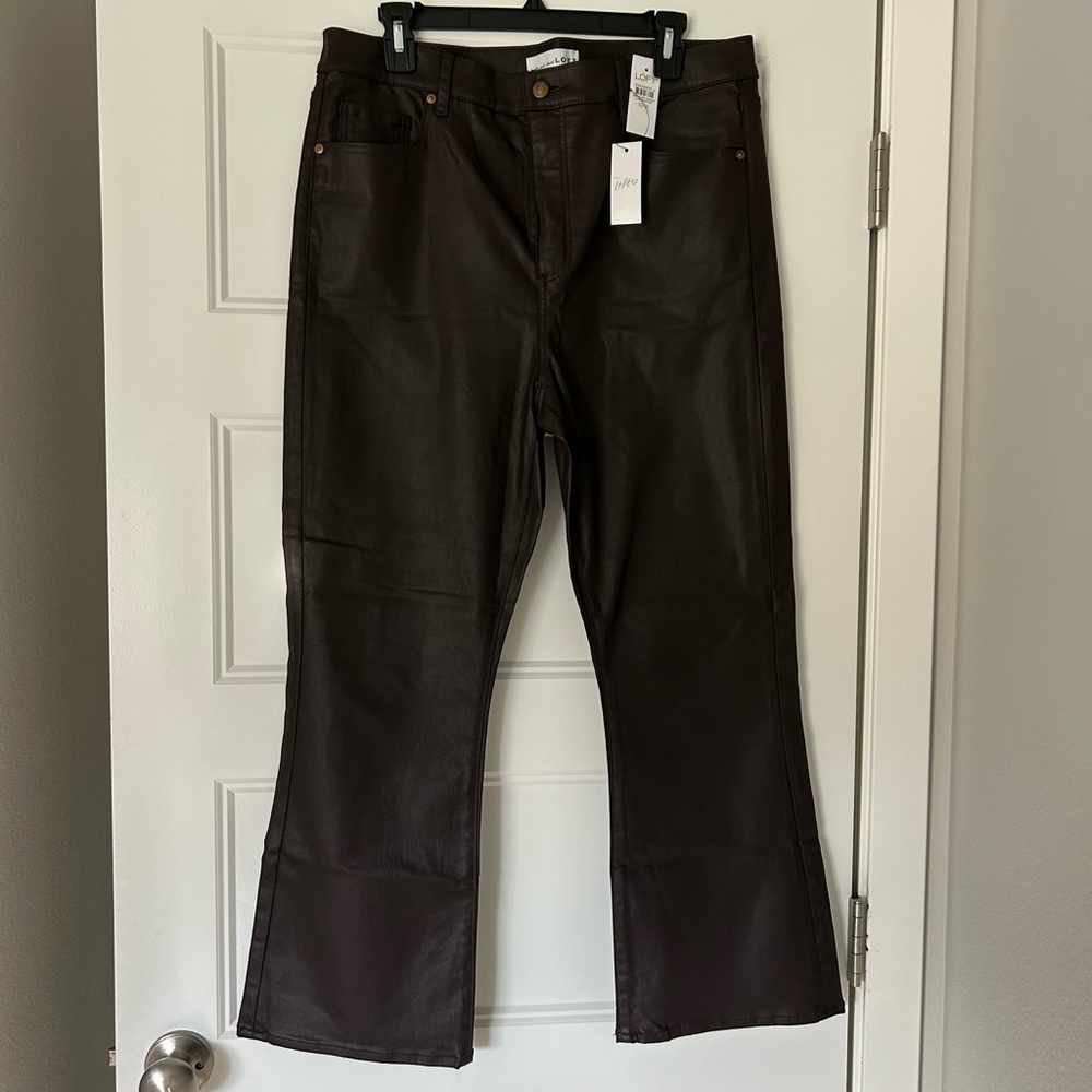 LOFT chocolate Brown Flare coated  jeans pants NEW 14!